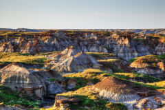 Badlands and Dinosaur Provinvial Park Alberta