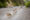 Dog sled ride in Seward, Alaska